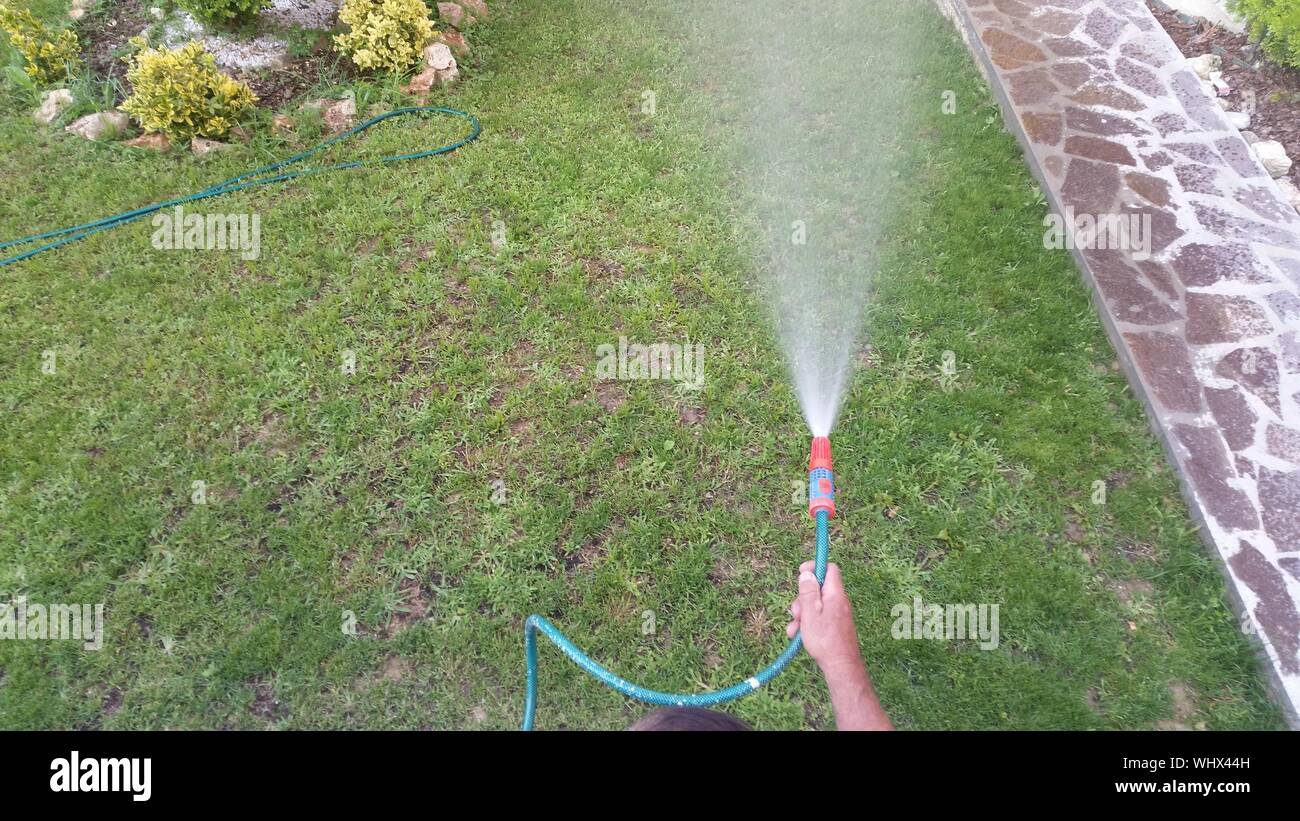 Cropped Hand On Person Watering Garden From Hose Stock Photo Alamy
