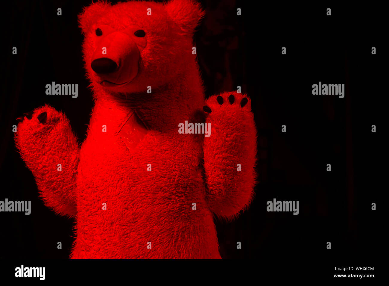 red black teddy bear