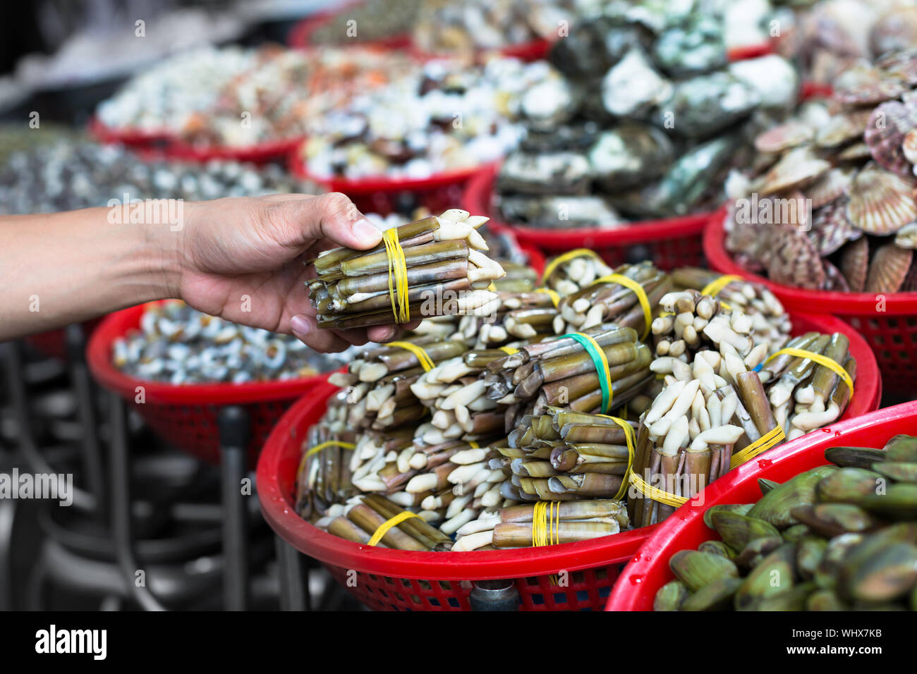 Fresh seafood catch for sale at the seafood streetmarket. Imported and local produce in crates/buckets. Stock Photo