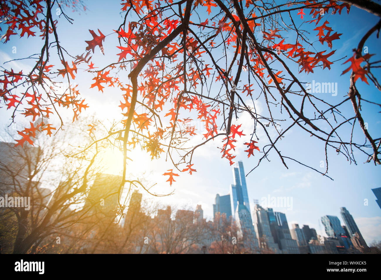 New York City Manhattan Central Park panorama in Autumn lake with