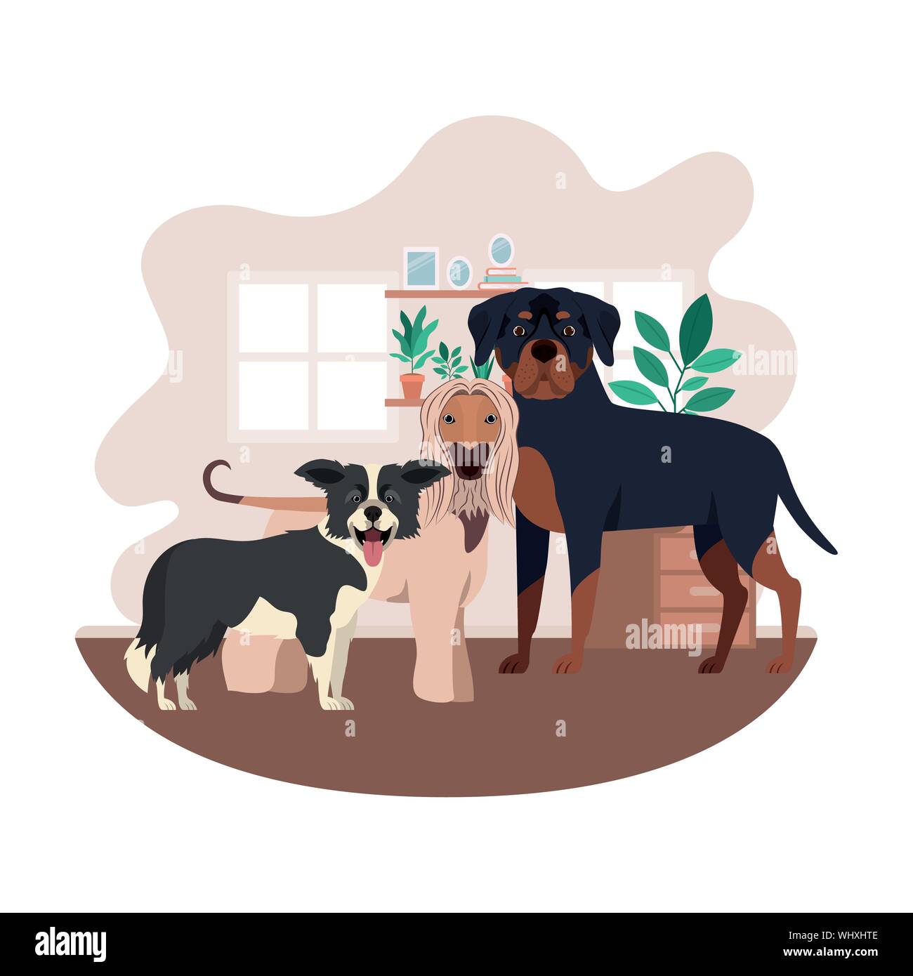 cute and adorable dogs in living room Stock Vector Image & Art Alamy