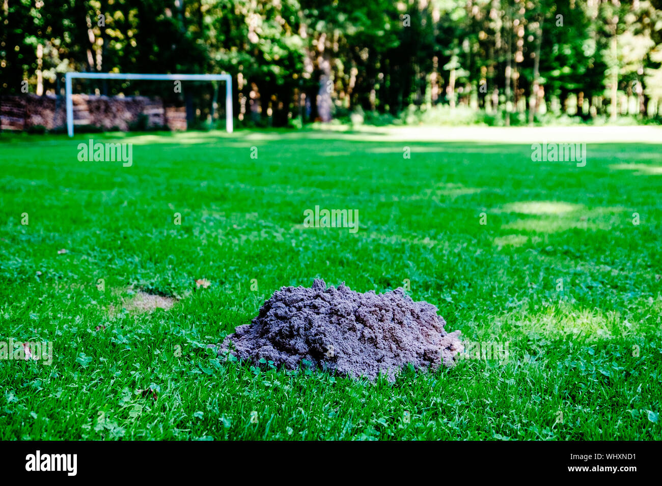 Mud soccer hires stock photography and images Alamy