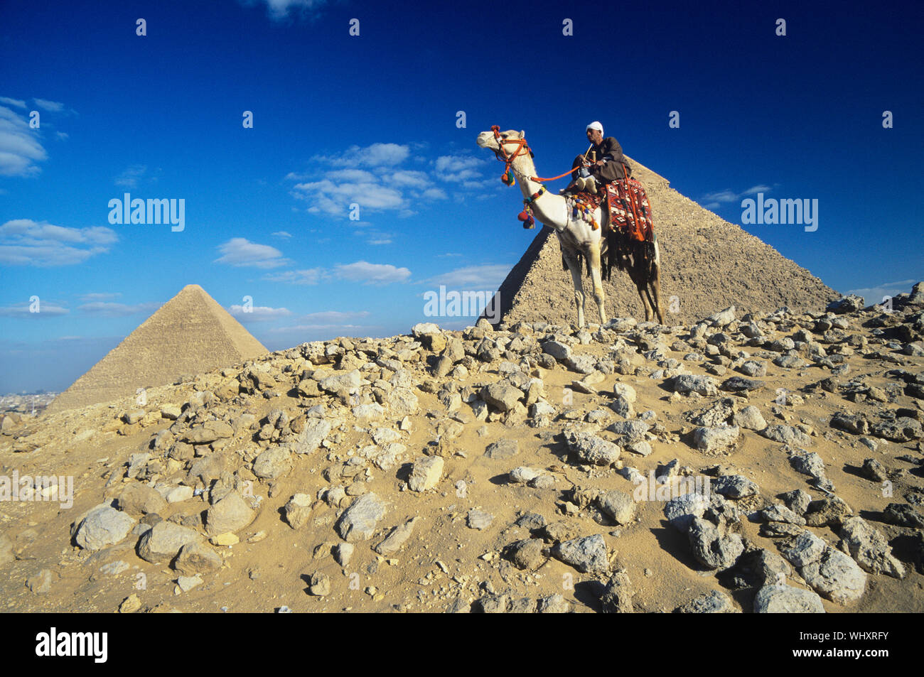 Low angle view of a camel rider by pyramids of Giza Stock Photo - Alamy