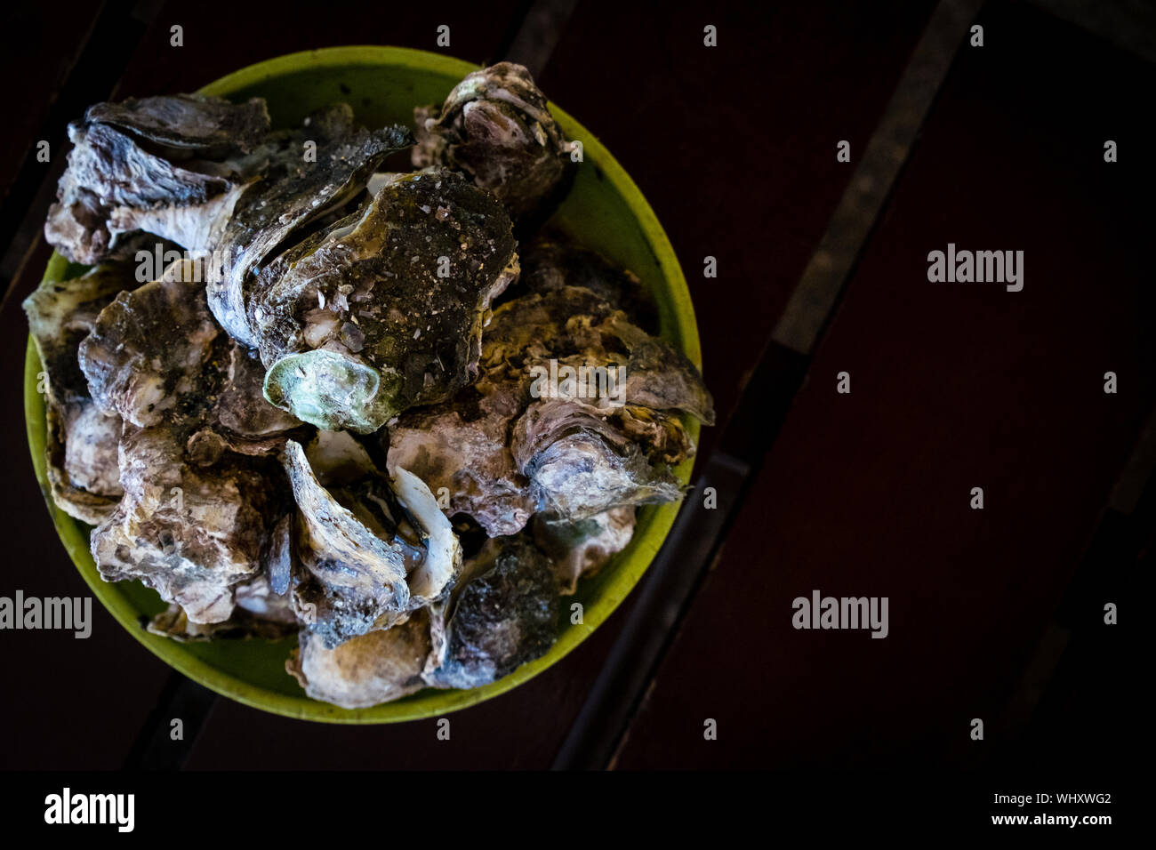 Steamed Oysters In Plate At Home Stock Photo Alamy