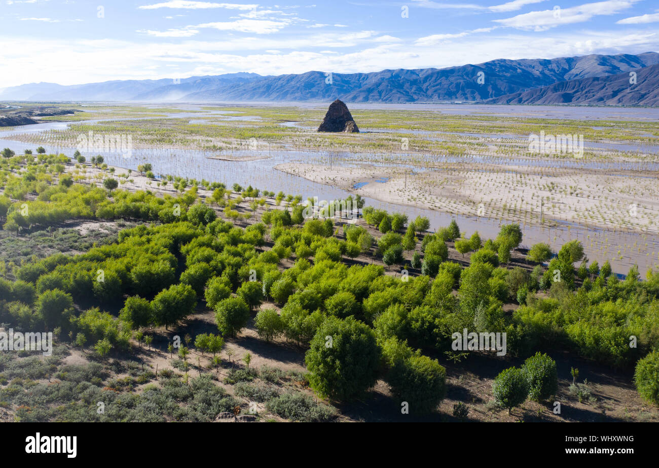 Beijing, China. 16th July, 2019. Aerial photo taken on July 16, 2019 shows trees planted along banks of the Yarlung Zangbo River in southwest China's Tibet Autonomous Region. China has adopted the vision that lucid waters and lush mountains are invaluable assets and pursued a holistic approach to conserving its mountains, rivers, forests, farmlands, lakes, and grasslands. At the very highest levels, China is driving the way forward in the construction of an ecological civilization. Credit: Purbu Zhaxi/Xinhua/Alamy Live News Stock Photo