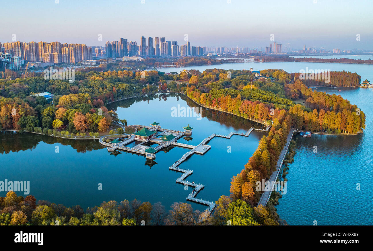 (190903) -- BEIJING, Sept. 3, 2019 (Xinhua) -- Aerial photo taken on Nov. 23, 2018 shows greenways across Donghu Lake in Wuhan, capital of central China's Hubei Province. China has adopted the vision that lucid waters and lush mountains are invaluable assets and pursued a holistic approach to conserving its mountains, rivers, forests, farmlands, lakes, and grasslands. At the very highest levels, China is driving the way forward in the construction of an ecological civilization. (Xinhua/Xiao Yijiu) Stock Photo