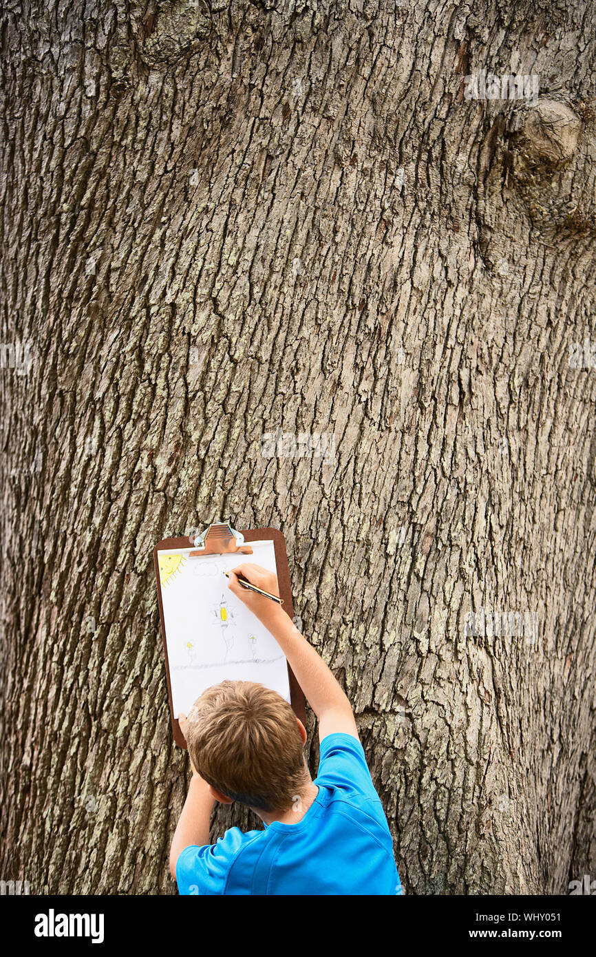 Rear view of young boy drawing by tree trunk Stock Photo - Alamy