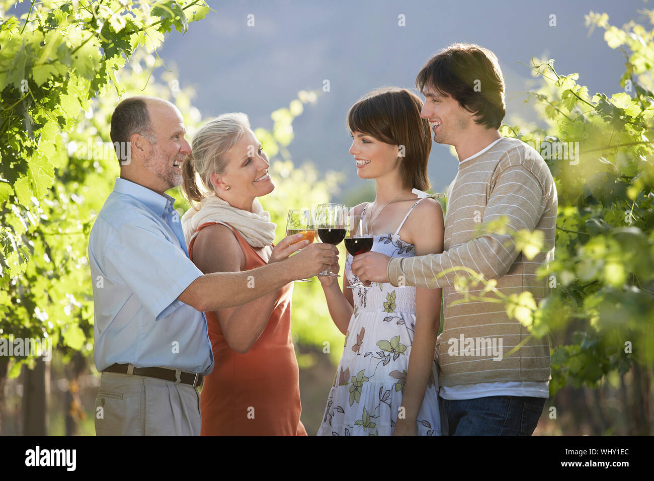 Two couples toasting wine glasses in vineyard Stock Photo