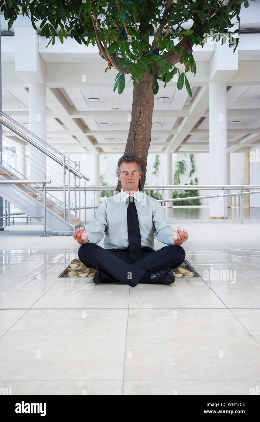 Businessman Meditating under Tree Stock Photo
