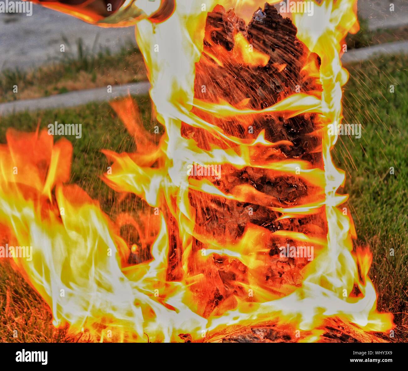 My Image 30