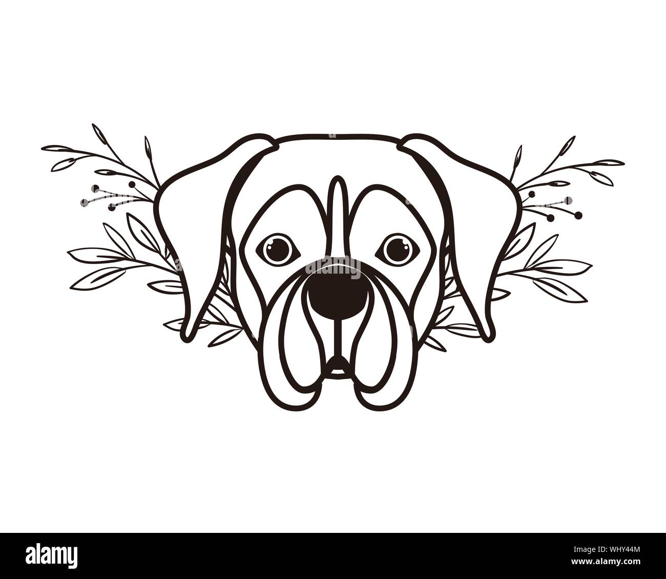 head of cute boxer dog on white background Stock Vector Image ...