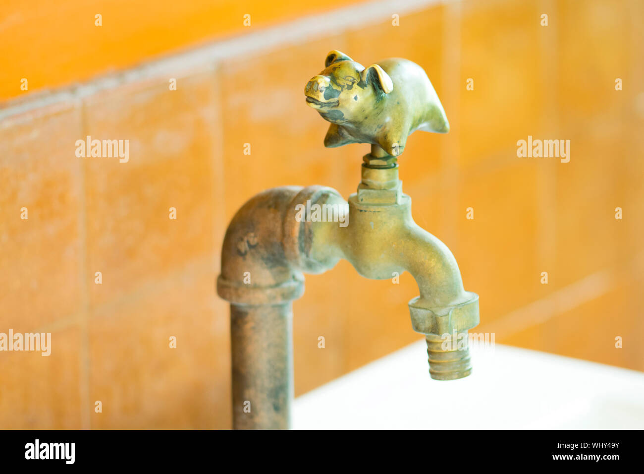 Old style faucet brass pig Stock Photo