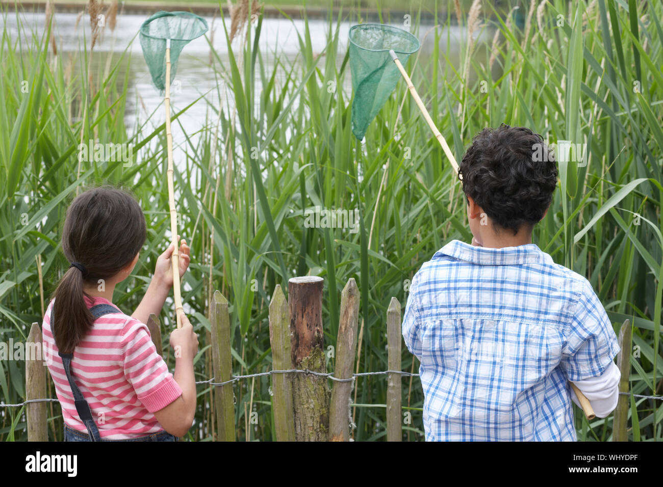 Rear view of brother and sister holding fishing nets in front of reeds ...