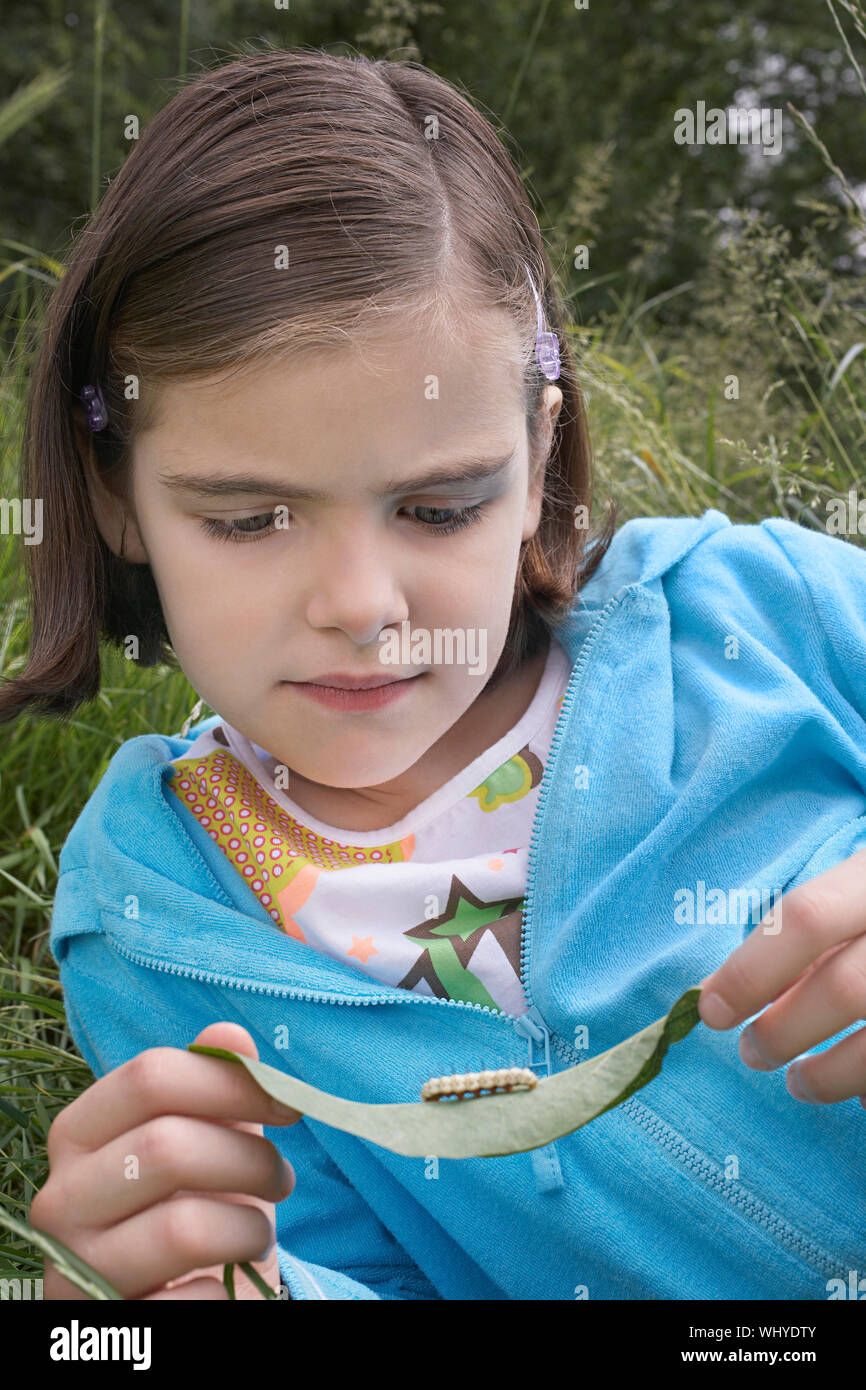 Young girl examining caterpillar on leaf outdoors Stock Photo Alamy
