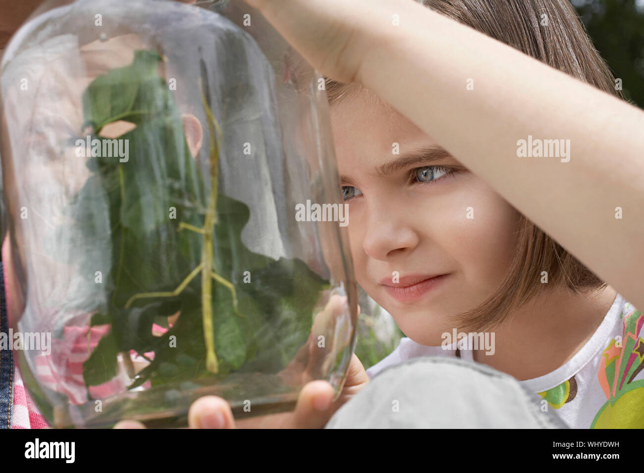Two girls examining stick insects in jar outdoors Stock Photo Alamy