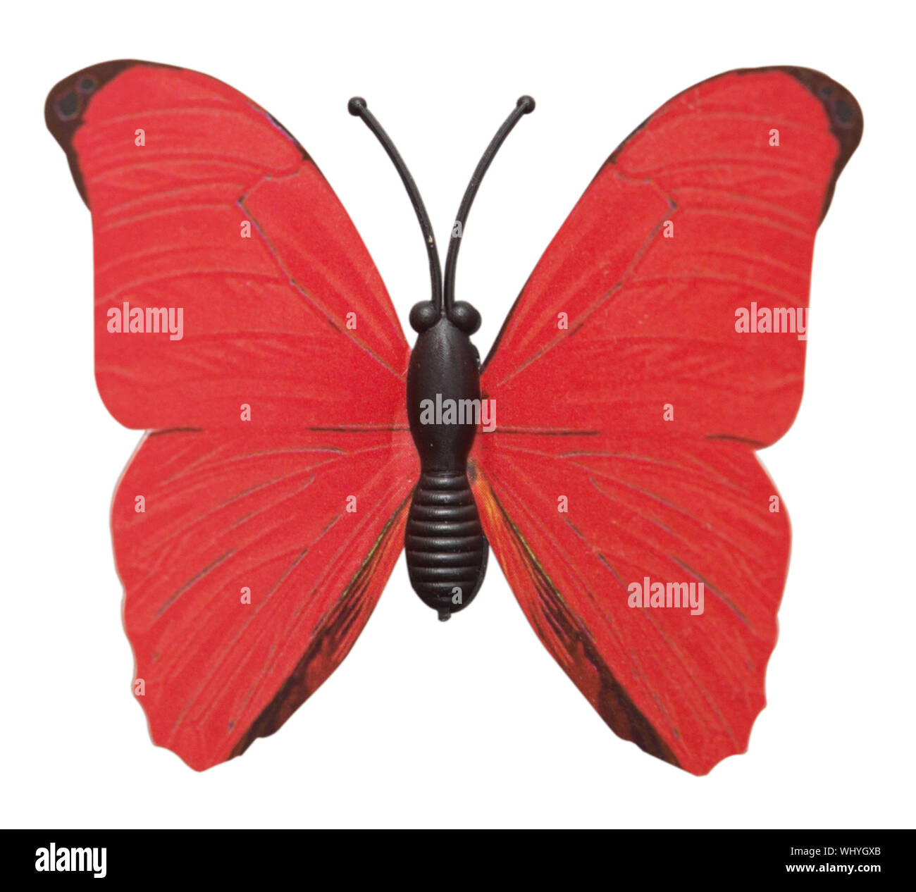 Plastic butterfly isolated on white background Stock Photo - Alamy