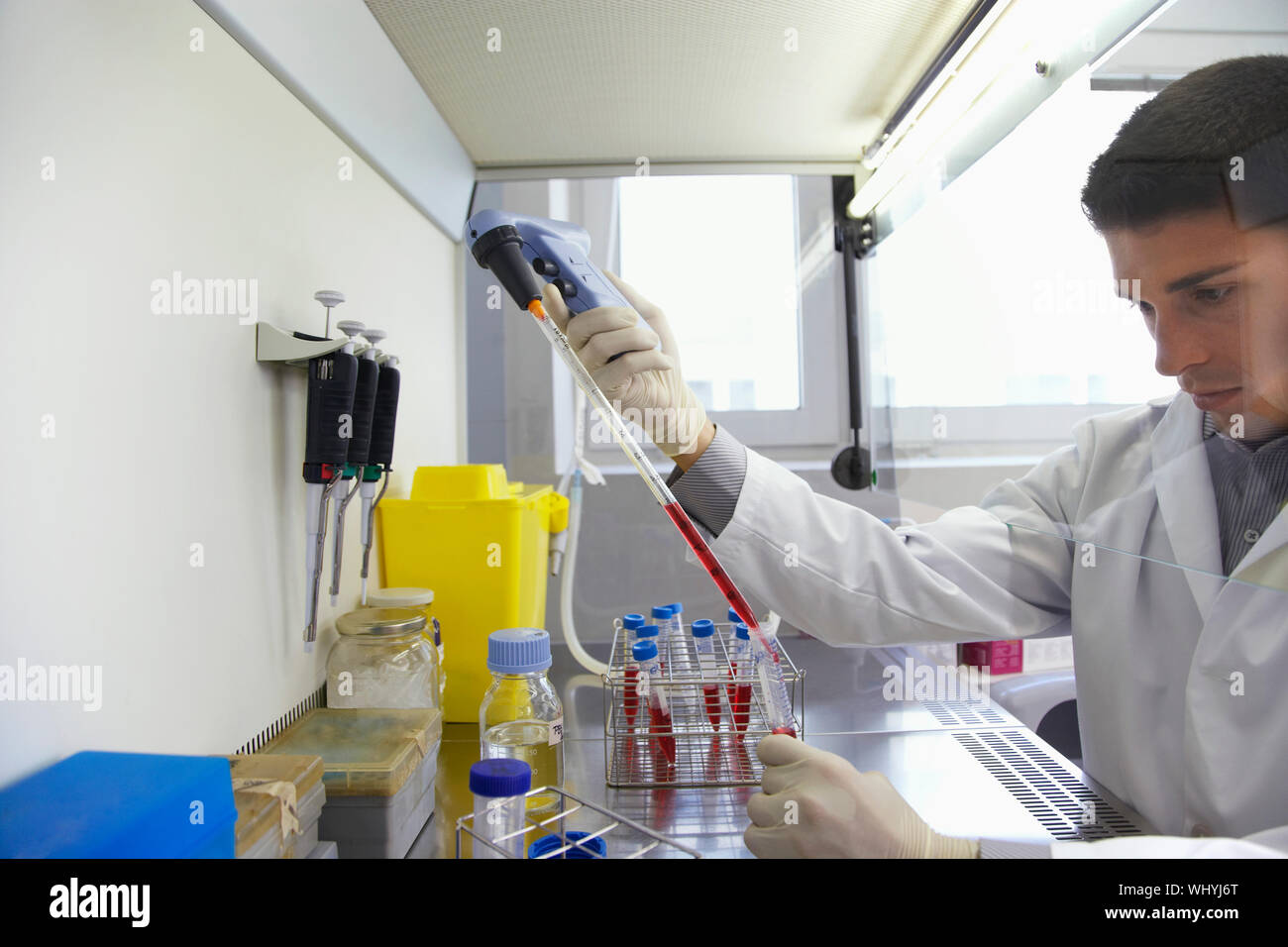 Closeup of a male scientist filling test tube with hitech pipette in ...