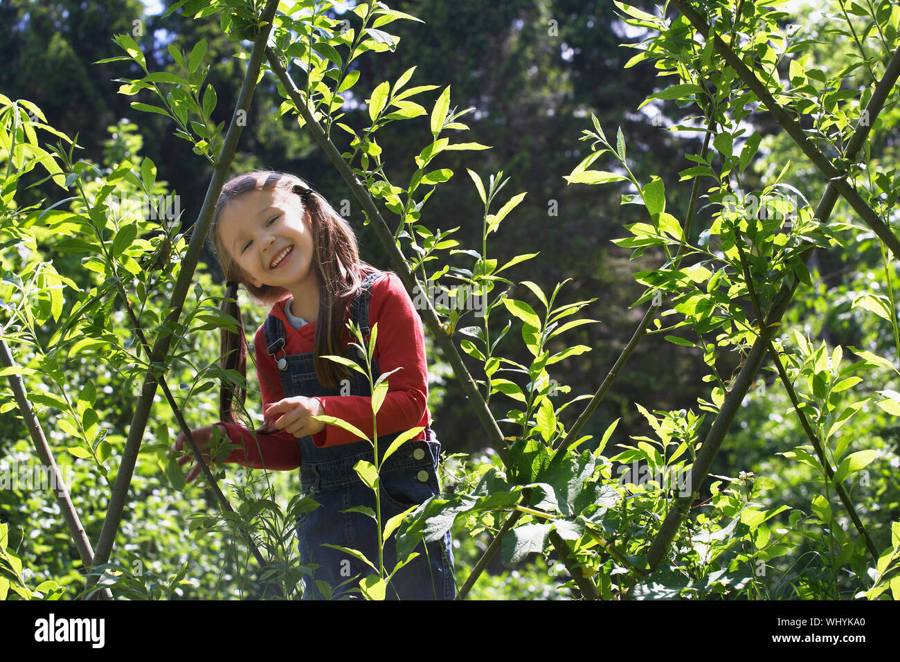 Portrait of a cute smiling girl standing amid plants Stock Photo - Alamy