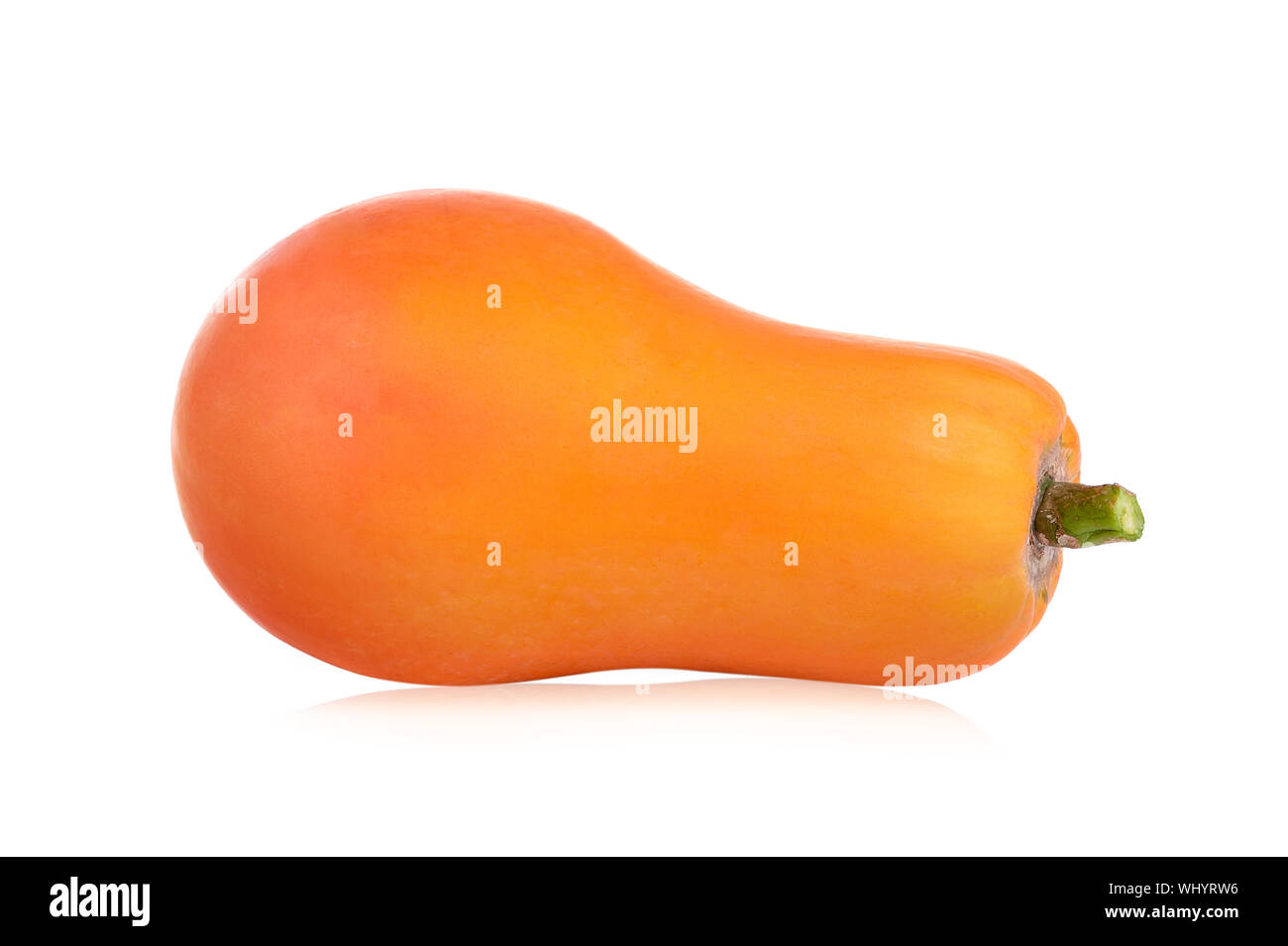 Single squash or pumpkin, isolated over a white background. Stock Photo