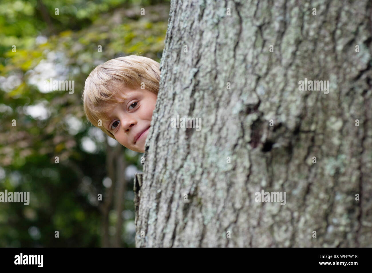 Девушка выглядывает из за дерева. Парень за деревом. Funny picture the boy is behind the tree. Человек прячется за тонким деревом. Look jack behind the tree.