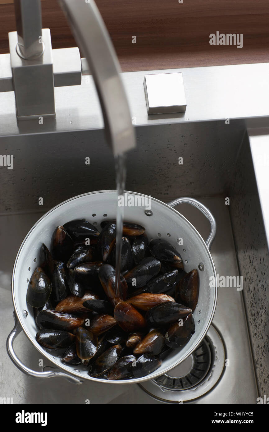 Washing mussels hires stock photography and images Alamy