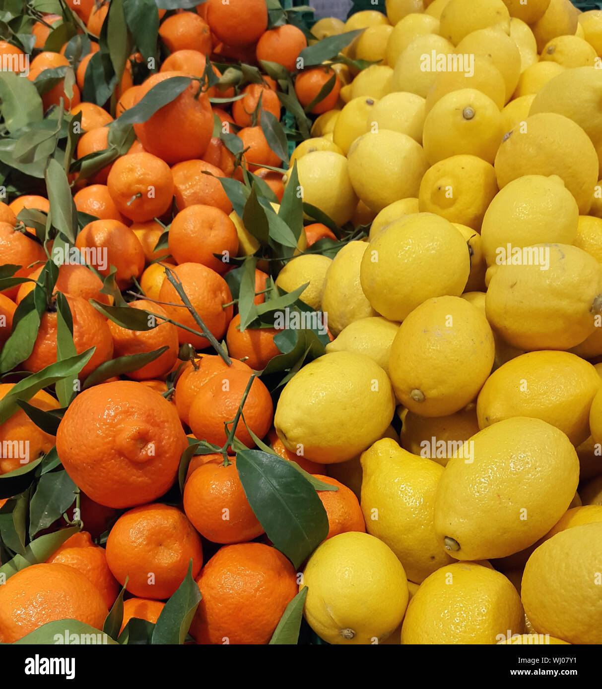 Oranges And Lemons For Sale At Market Stall Stock Photo Alamy