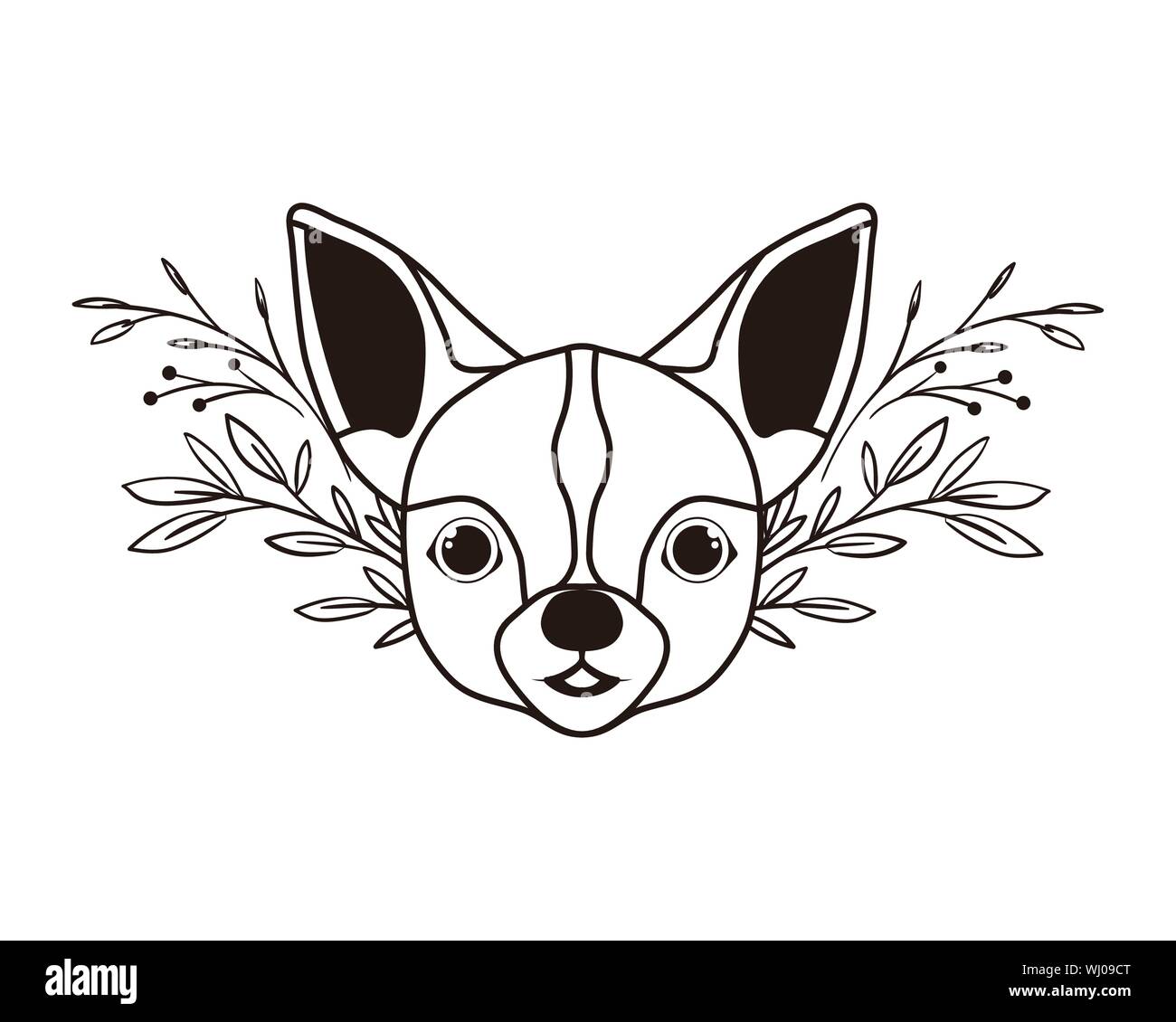 Head Of Cute Chihuahua Dog On White Background Stock Vector Image Art Alamy Head Of Cute Chihuahua Dog On White Background Stock Vector Image Art Alamy