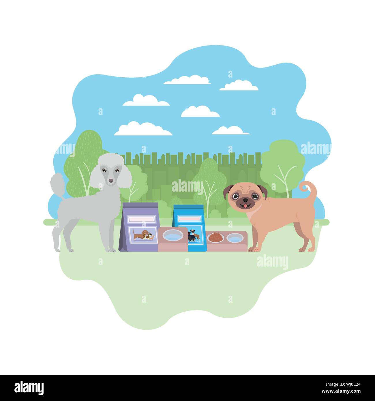 Pug Poodle Stock Photos Pug Poodle Stock Images Alamy