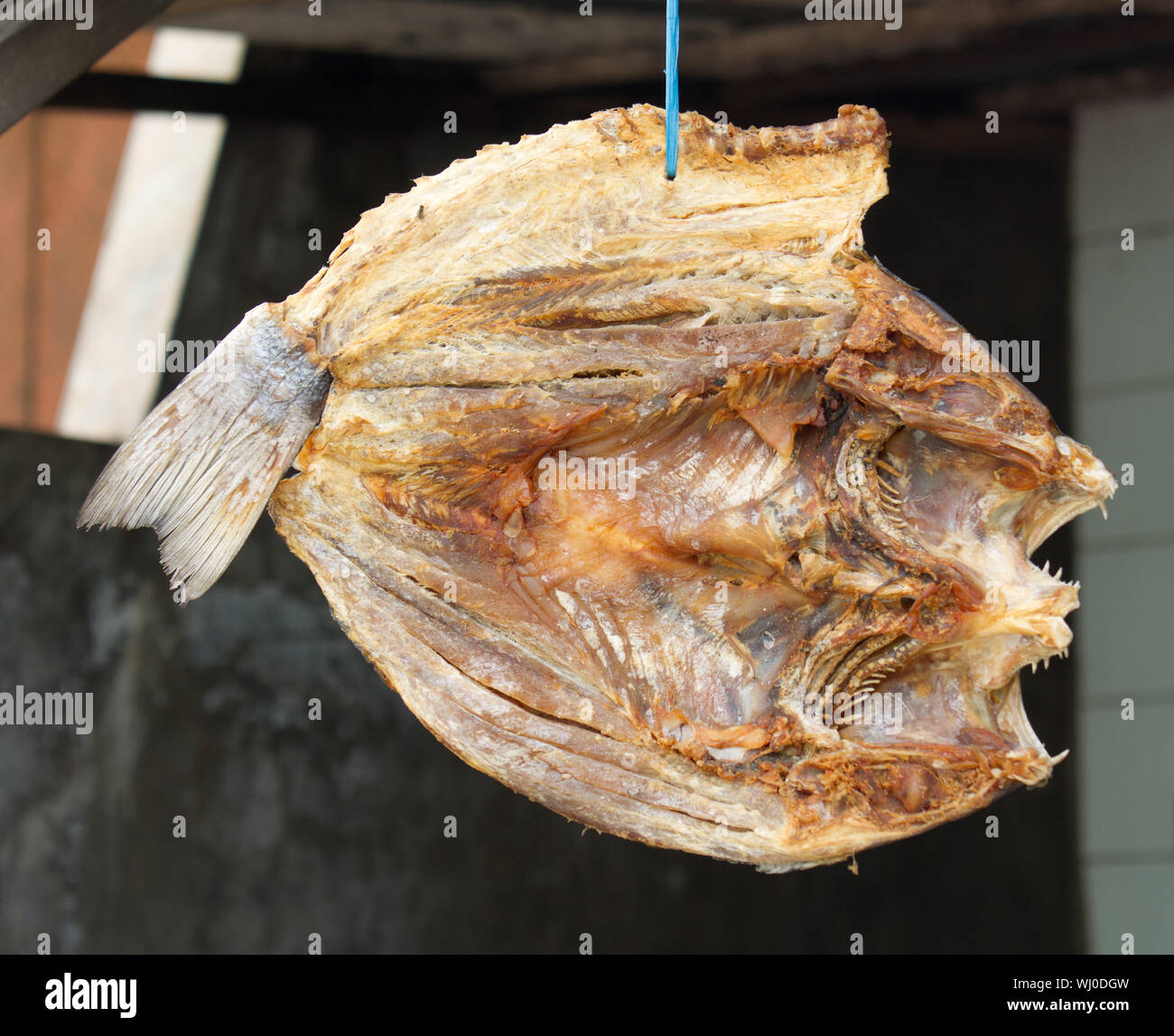 Dried Fish, market, Paotere, Makassar, Sulawesi, Indonesia Stock Photo