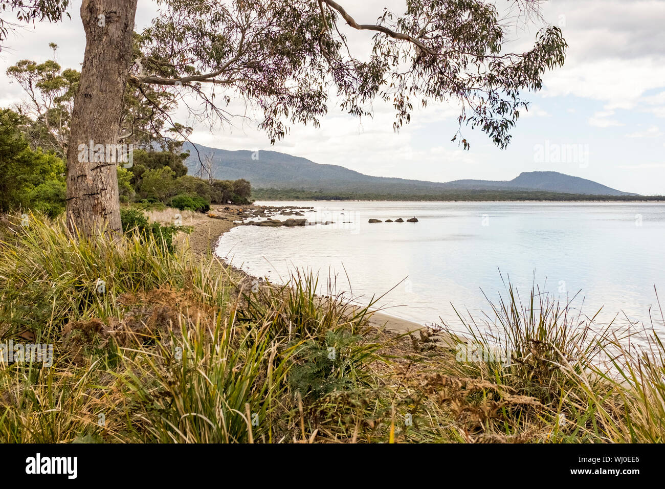 Quiet bay surrounded by native bushland on Maria Island, Tasmania, Australia Stock Photo