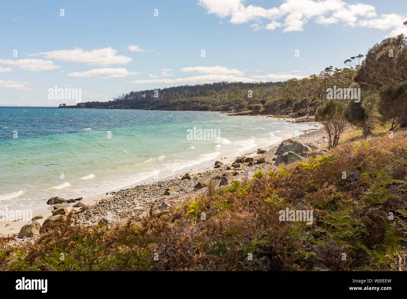 deserted-rocky-beach-on-maria-island-tasmania-australia-stock-photo