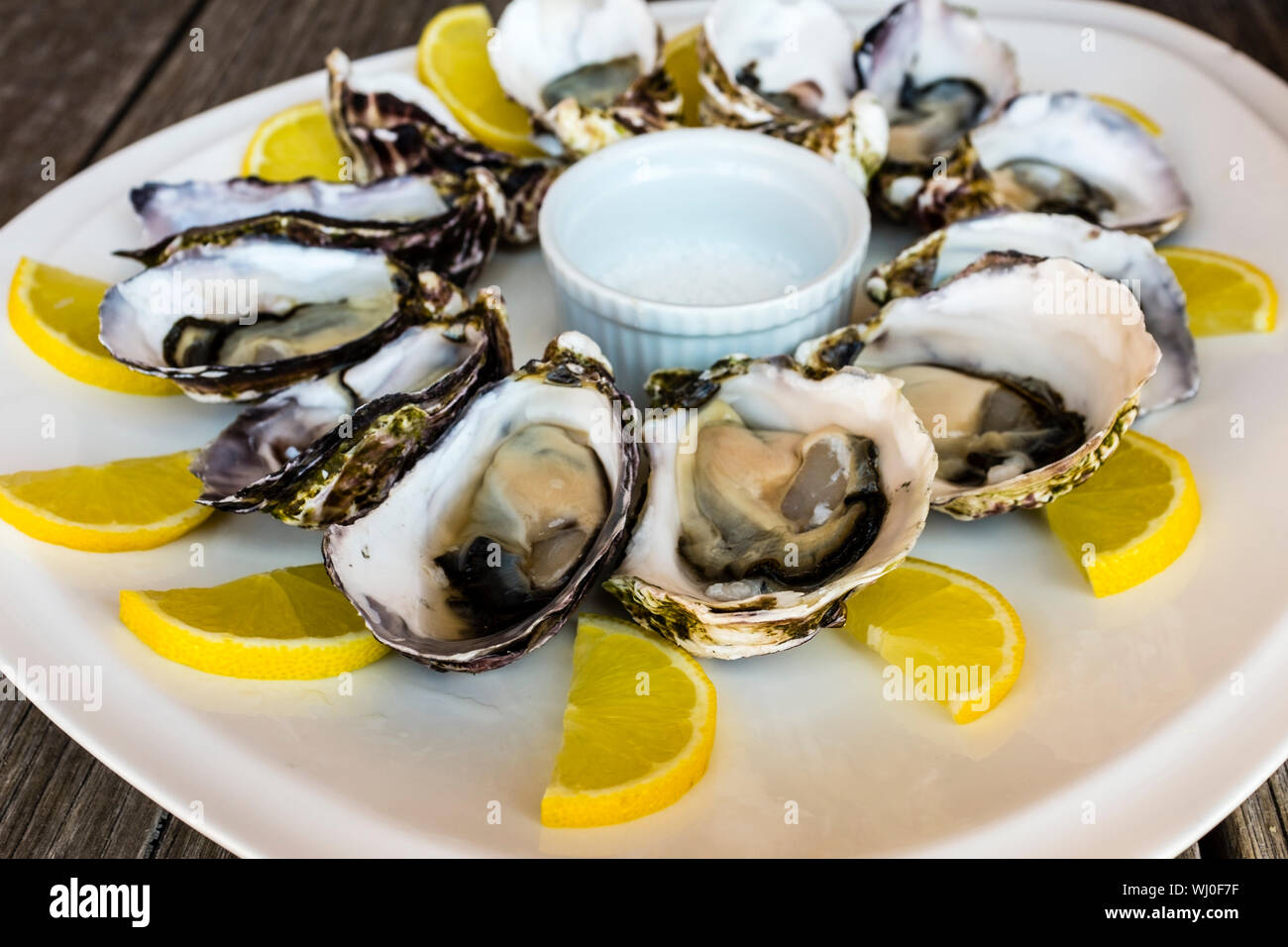 Freshly shucked Tasmanian oysters served with lemon and salt, Tasmania, Australia Stock Photo