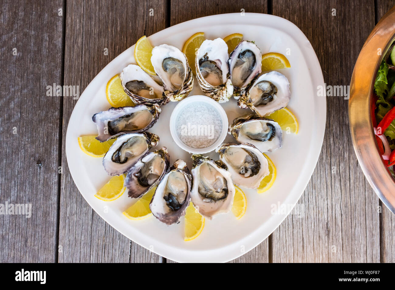Plate with freshly shucked Tasmanian oysters served with lemon and salt, Tasmania, Australia Stock Photo