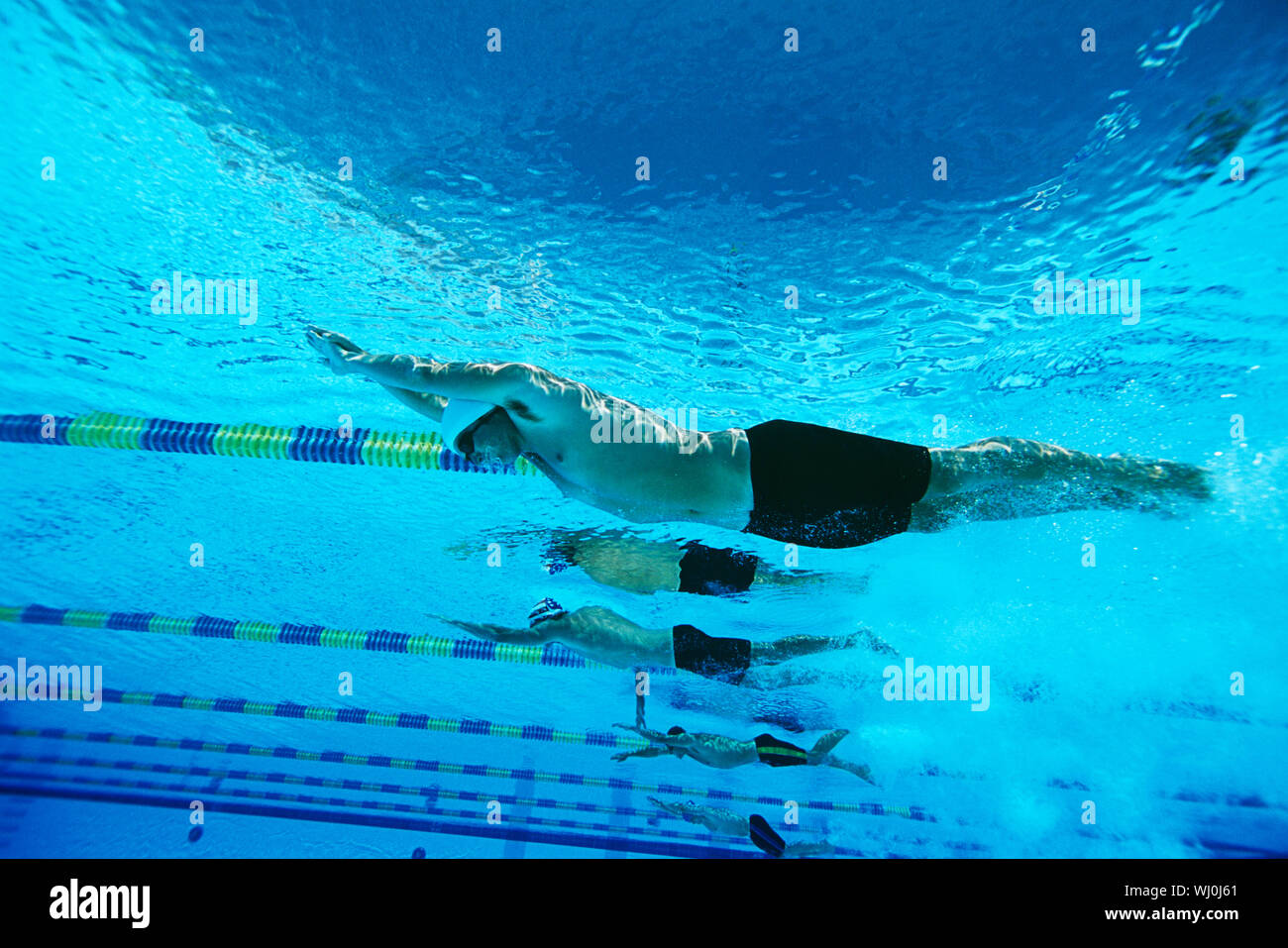Male Swimmers Racing In Pool Underwater View Stock Photo Alamy