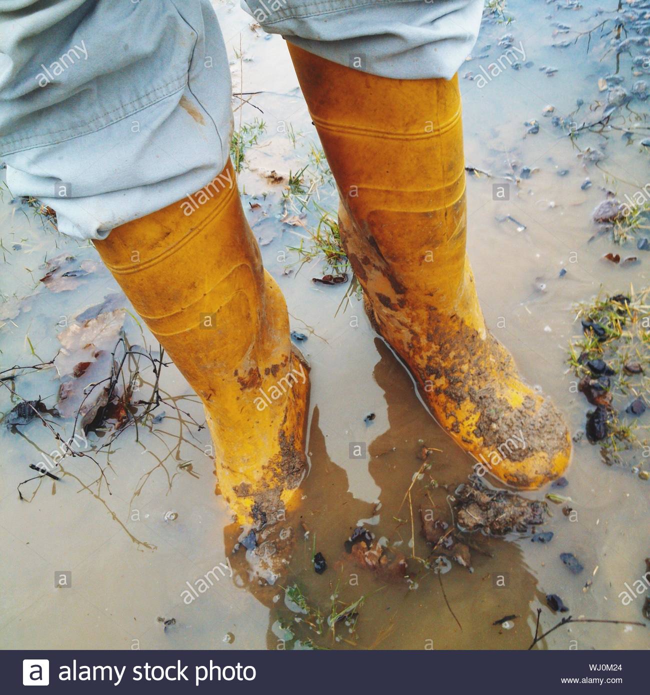 low cut gumboots