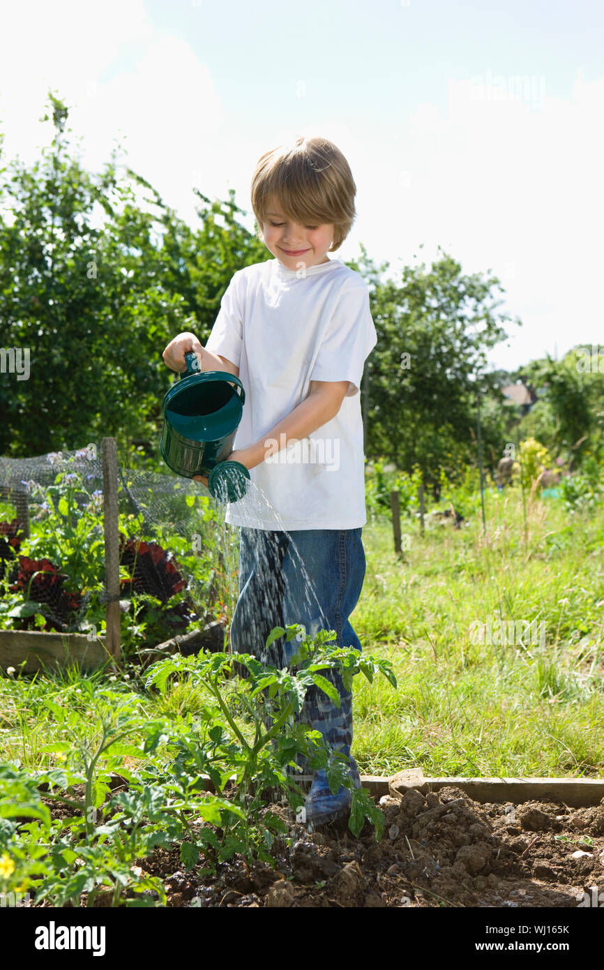 Happy young boy watering plants in community garden Stock Photo - Alamy