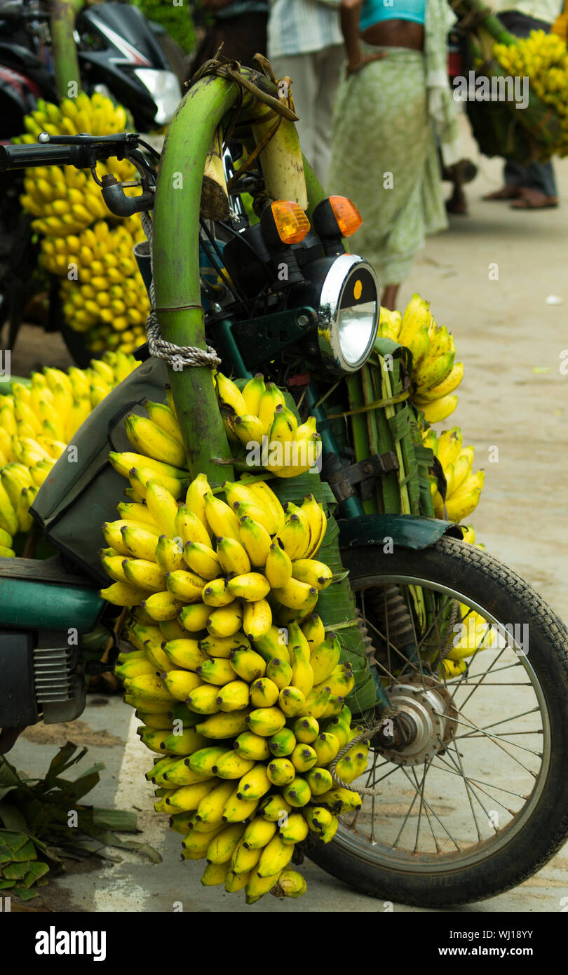 Bananas On Motorcycle Stock Photo