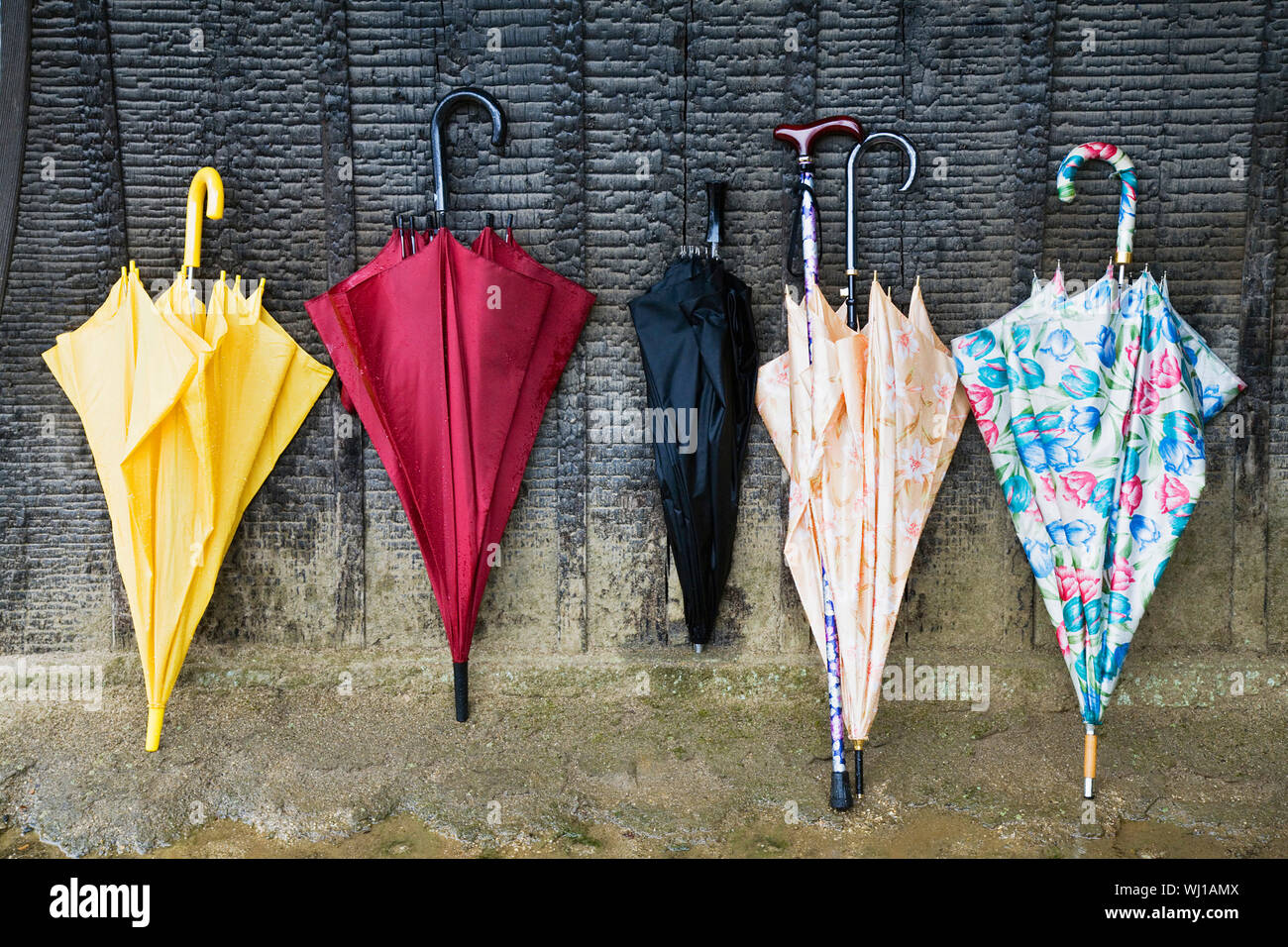 Colorful Umbrellas Leaning Against a Wall Stock Photo Alamy