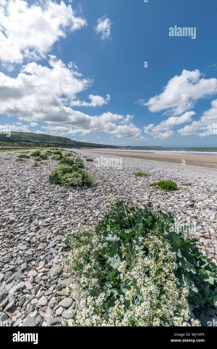 Abergele beach on the North Wales coast Stock Photo
