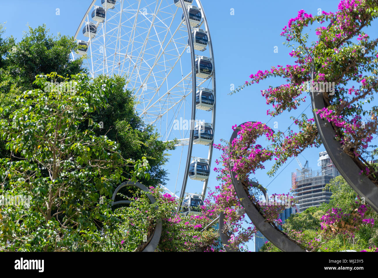 Riverfront Metropolis, Subtropical Urban Oasis, Brisbane, Australia Stock Photo