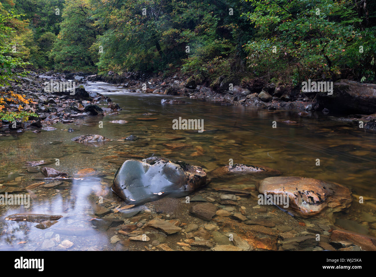 River Gain (Afon Gain) in the Coed-y-Brenin Forest Park. Stock Photo