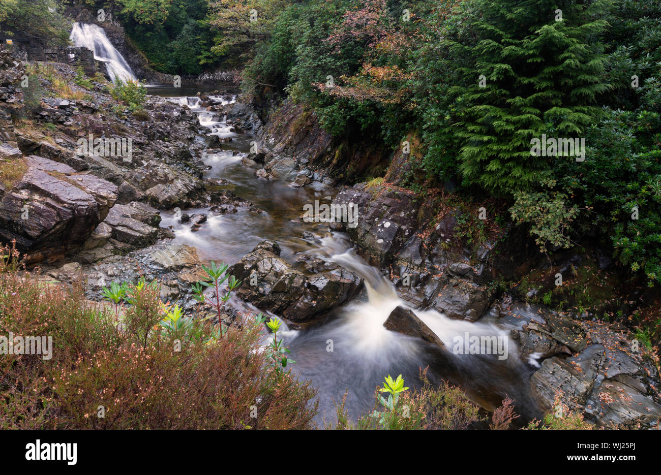 Rhaeadr Mawddach waterfall and white water on the river Gain (Afon Gain) in the Coed-y-Brenin Forest Park. Stock Photo