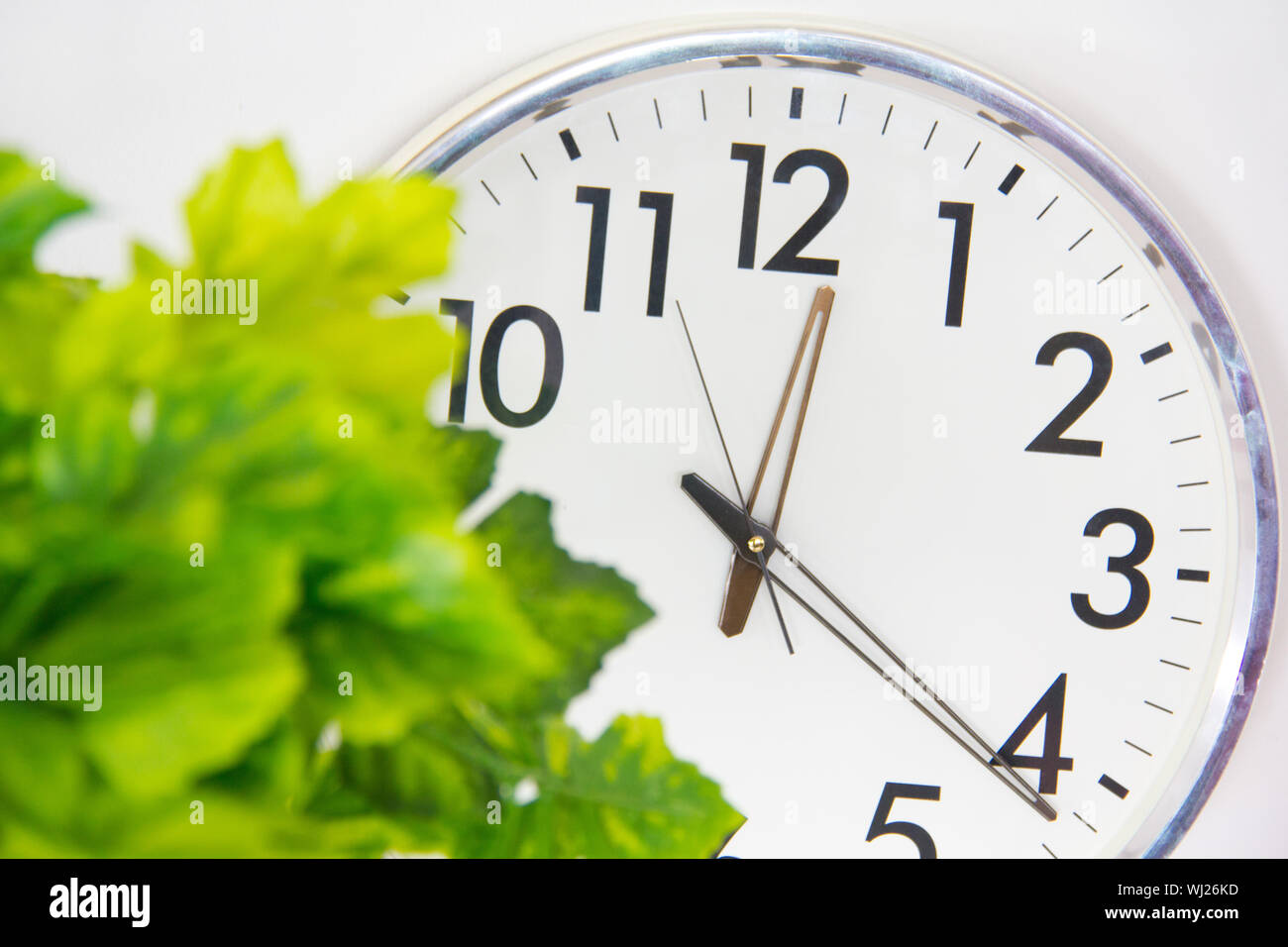 Wall clock with potted plant Stock Photo