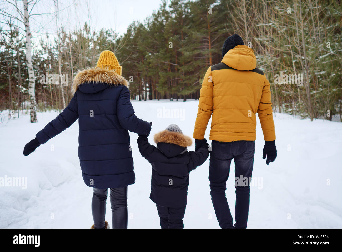 back view of family walks in winter day. weekend and holiday concept Stock Photo