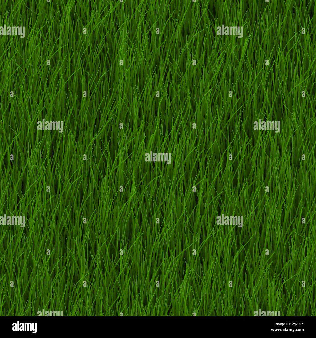 Cartoon Grass Background Illustration as a Art Stock Photo - Alamy