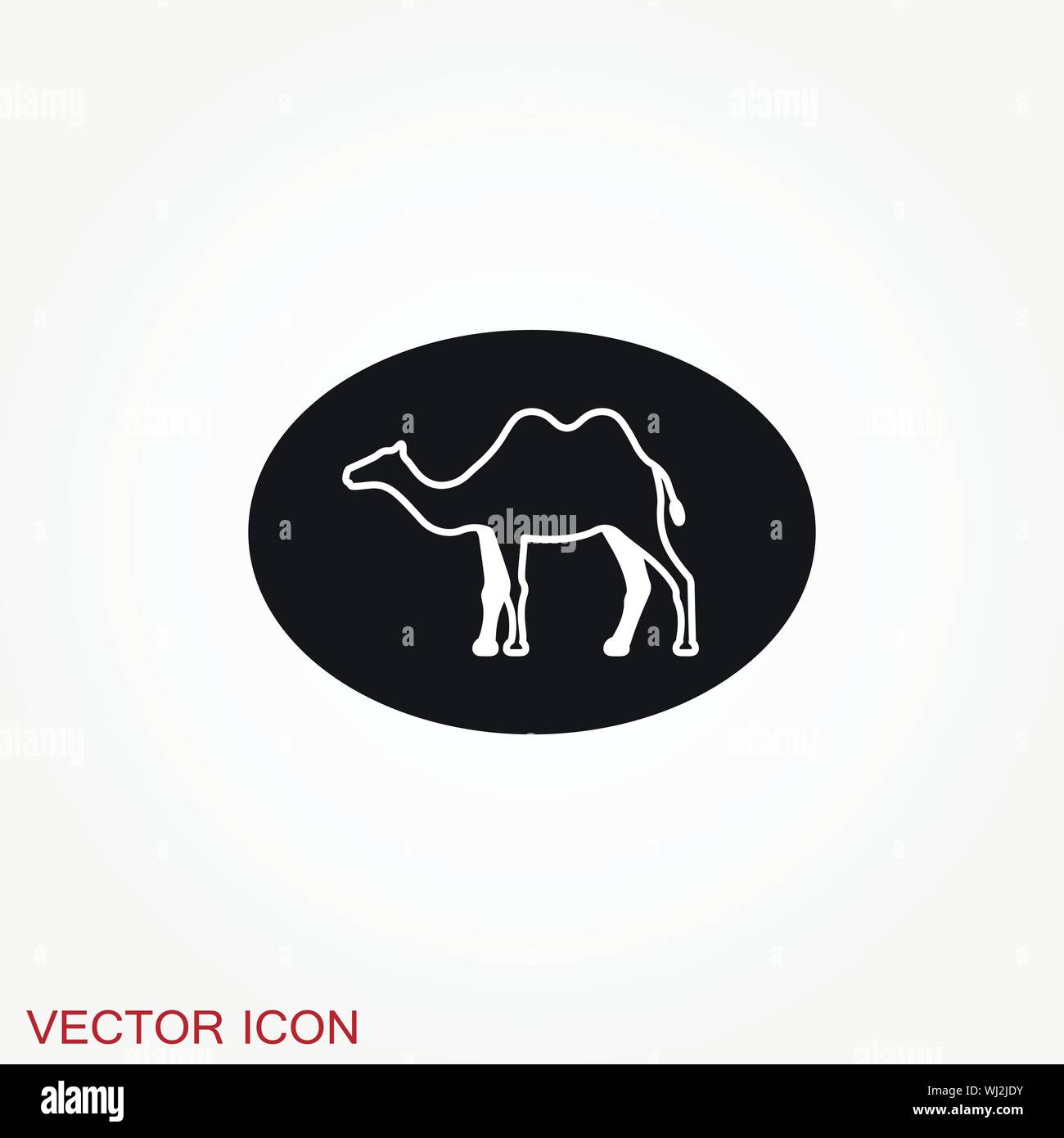 Camel icon. Vector symbol African animal for web and design. Stock Vector