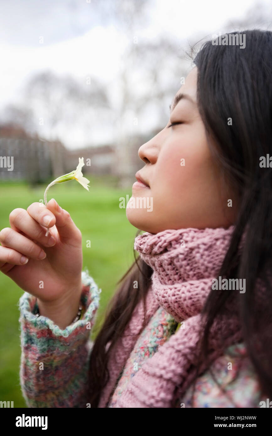 Side view of a young Asian woman smelling flower in park Stock Photo ...
