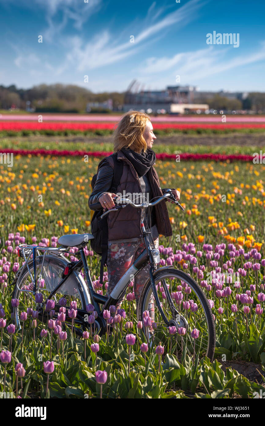 girl walking through the fields holland tulips Stock Photo Alamy