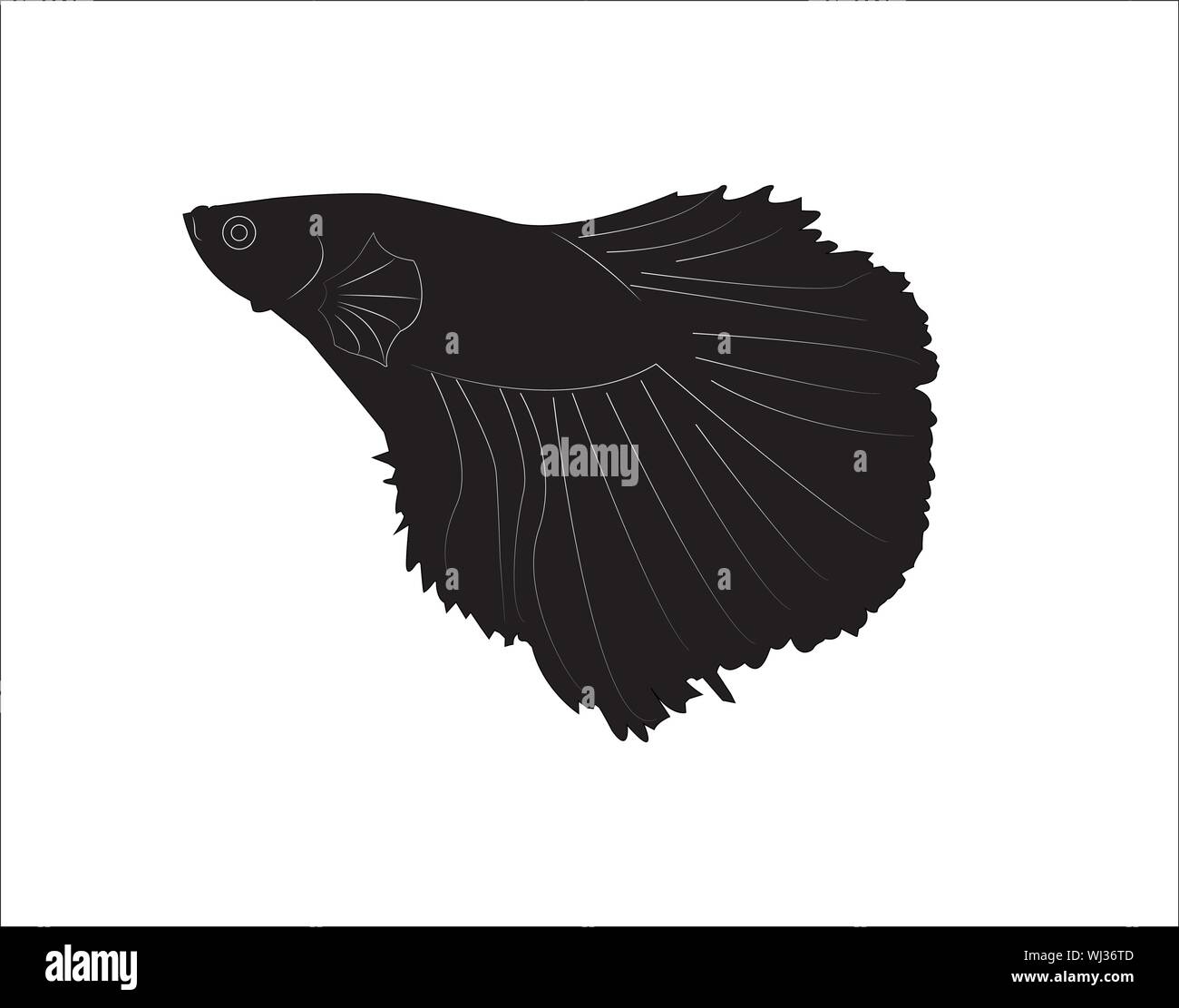 Fighting fish icon - Vector Stock Vector Image & Art - Alamy