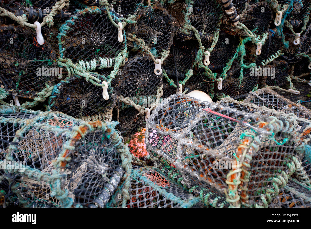 Closeup view of lobster crab fishing pots Stock Photo Alamy
